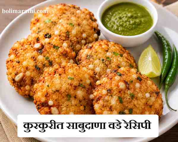 sabudana vada recipe in marathi boli marathi
