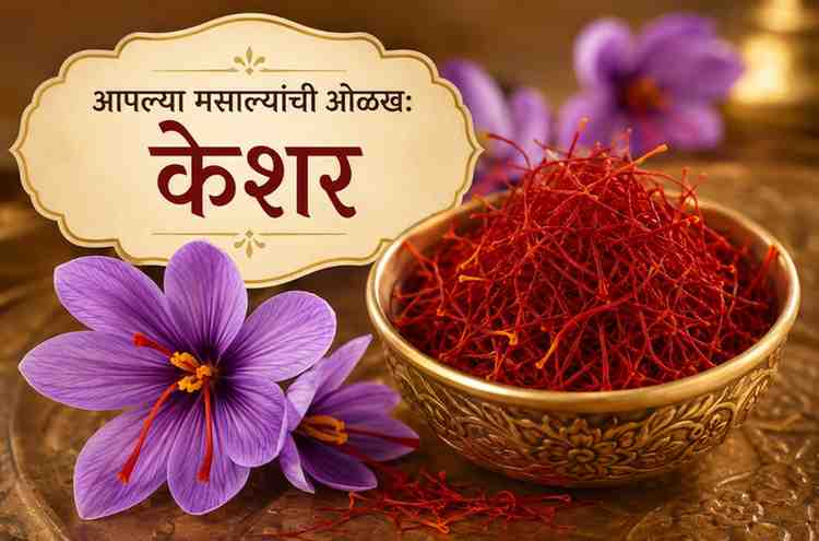 kesar spices information in marathi boli marathi