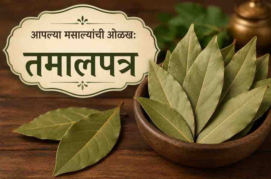 tamalpatra bay leaf in marathi spices information boli marathi